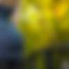 Dutch thumbnail