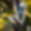 Dutch thumbnail
