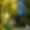 Dutch thumbnail