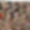 facefucking.com Scenes 515-537 SD/Screens