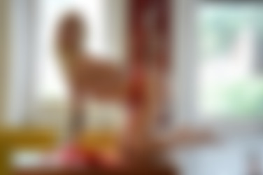 Bamby_s/2019-07-21 Woman in red/10.jpg