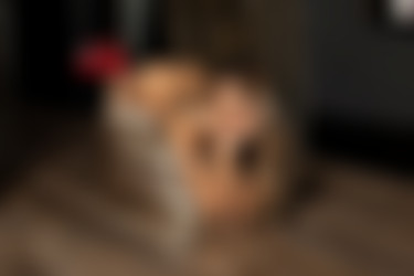 [photodromm.com] 2021-01/[photodromm.com] - 2021.01.02 - Ursula - Intercontinental Hotel (x50) 2000x3000/44l.jpg