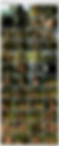 Amy Shine - KShara Bondage Collection/Previews/Amy Shine - Kshara - Get Whipped.jpg