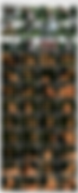 Amy Shine - KShara Bondage Collection/Previews/Amy Shine - Kshara - It Began In The Garden.jpg