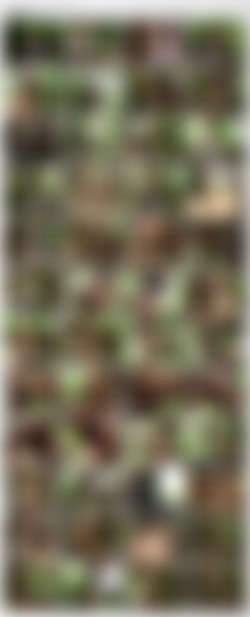 Amy Shine - KShara Bondage Collection/Previews/Amy Shine - Kshara - Outdoor Orgasm.jpg