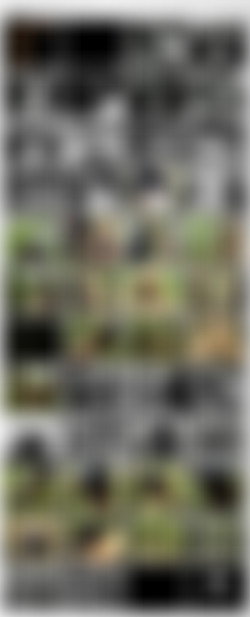 Amy Shine - KShara Bondage Collection/Previews/Amy Shine - Kshara - Superwoman Drilling.jpg