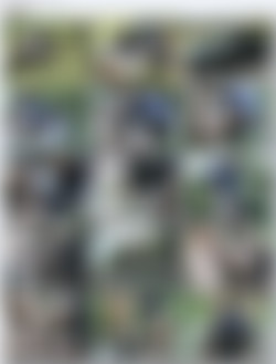 Brasileirinhas - Violadas 7 + Bonus/Bonus_Szene_From_Violada_ao_Extremo_1_screens-1.jpg