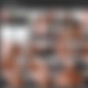 Part 17/1Scr/Hailee Steinfeld