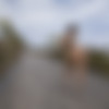BangBros/ap/4287