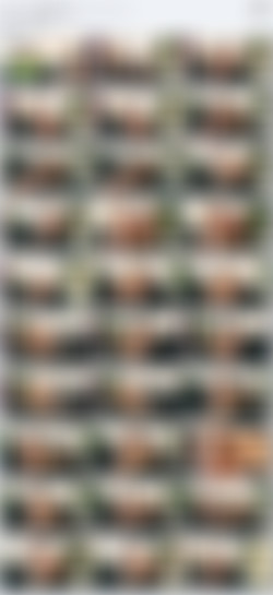 MeloneChallenge.com x265/Screens/Mea Melone/Falco - Nice Try[x265].mp4.jpg