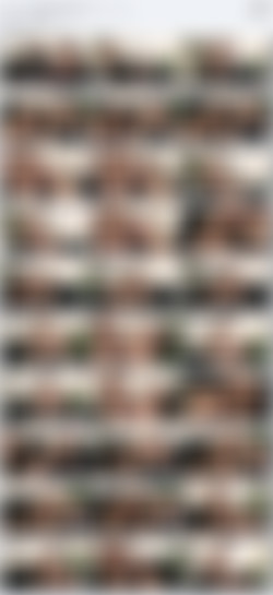 MeloneChallenge.com x265/Screens/Mea Melone/Lance Hardwood - First Son[x265].mp4.jpg