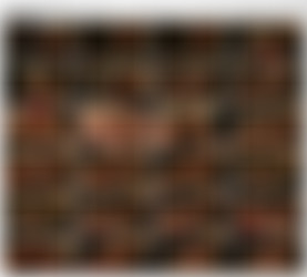 Spencer Scott/Spencer Scott (screenshots)/Adriana Sephora, Spencer Scott (L.A. Lesbians).avi_thumbs_[2015.07.01_17.26.02].jpg