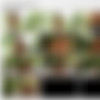 DigitalDesire.16.04.02.Lily.Ivy.XXX.1080p.MP4-KTR
