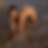 [PHD] 2025-01/22 Jenielou - Postcards From The Beach 2