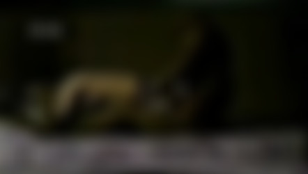 Homemade Cuckold Collection 26/Amateur_golden_haired_blonde_fucks_two_blacks_VHS_interracial_sex_tape.mp4