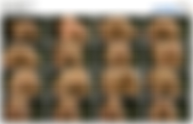 [Onlyfans.com] Alex Blair (@itsalexblair)/Screens/Horizontal screens/Alex Blair (H) (65).mp4.jpg
