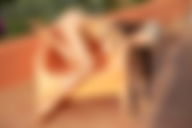 [PHD] 2024-12/12 Maris - The Astrologer 2/20l.jpg