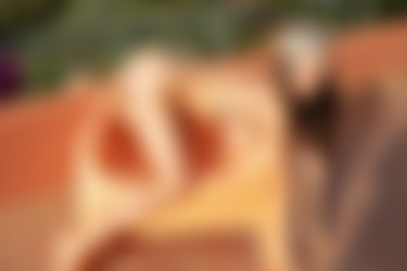 [PHD] 2024-12/12 Maris - The Astrologer 2/21l.jpg