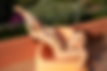 [PHD] 2024-12/12 Maris - The Astrologer 2/22l.jpg