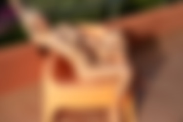 [PHD] 2024-12/12 Maris - The Astrologer 2/23l.jpg