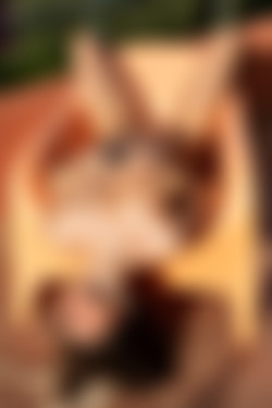 [PHD] 2024-12/12 Maris - The Astrologer 2/35l.jpg