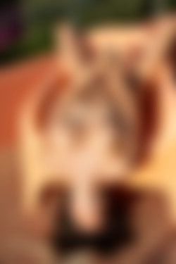 [PHD] 2024-12/12 Maris - The Astrologer 2/36l.jpg
