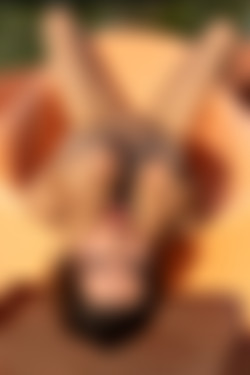 [PHD] 2024-12/12 Maris - The Astrologer 2/38l.jpg