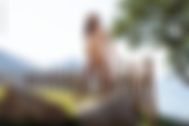 [photodromm.com] 2020-05/[photodromm.com] - 2020.05.26 - Teodora - In the Fence II (x42) 2000x3000/22l.jpg