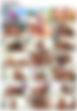 Bridgette B/thumbs/7034_01_720p.mp4.jpg