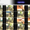 GoldenPassion thumbnail