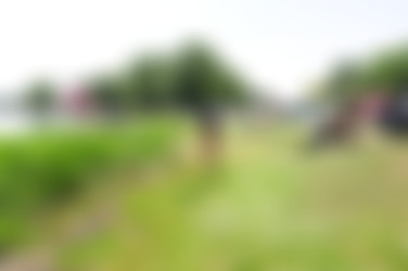 Ally & Nikol/ally_nikol_series1_3000/ally_nikol0037.jpg