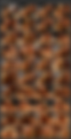 Barbara Blair/Screens/Throat Sluts 6.mp4.jpg