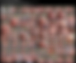 DD_2013 Updates/Screens/NOVALIEGH-MHH34-DD-FULL-1.jpeg