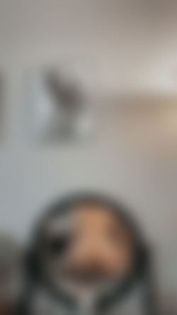 [OnlyFans.com] Jazmen00 - SiteRip/photos/2137922956.jpg