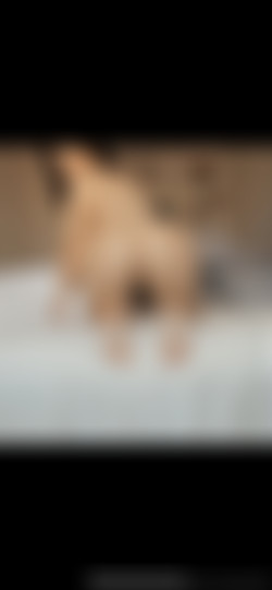 [OnlyFans.com] Jazmen00 - SiteRip/photos/2183115559.jpg