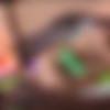 Clips