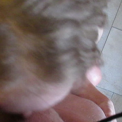 [ManyVids.com] siswet19