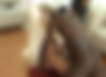 BlackBachelor/bangslone01.avi