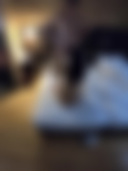 Travelvids - Venezuelan - Dec - 2020/PRETTY VENEZUELAN TINDER GIRL SUCK & FUCK (GOPRO).mp4