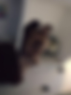 Travelvids - Venezuelan - Dec - 2020/PETITE SEXY VENEZUELAN FREAKY TINDER GIRL WITH CATFACE MAKEUP ON (GOPRO).mp4