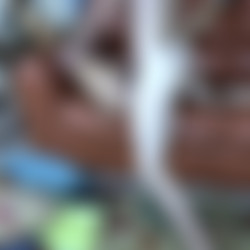 278137019_1920x1080_4000k.mp4