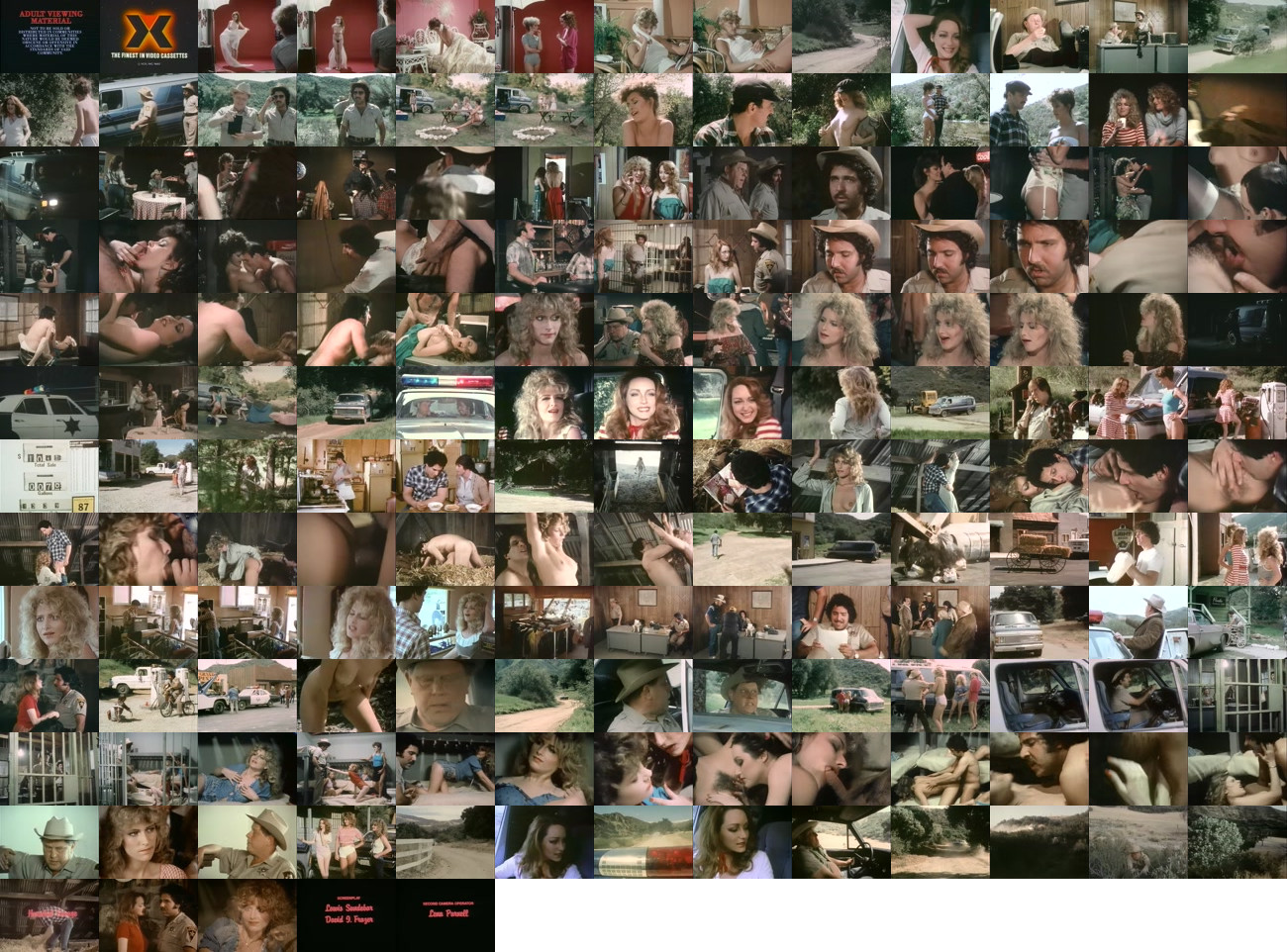 Honey Wilder Filmography (1982-1989) + Bonus/(1983) - Bad Girls II.avi